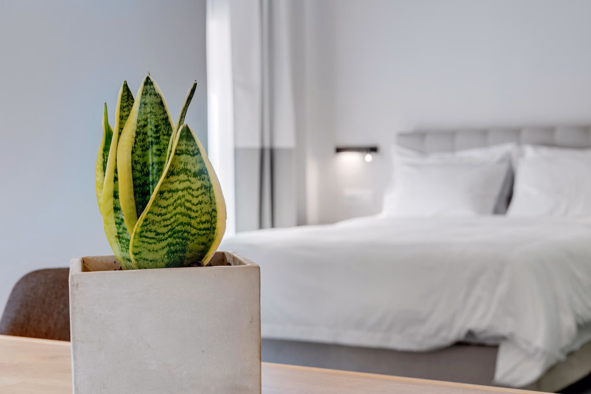 Suite bedroom